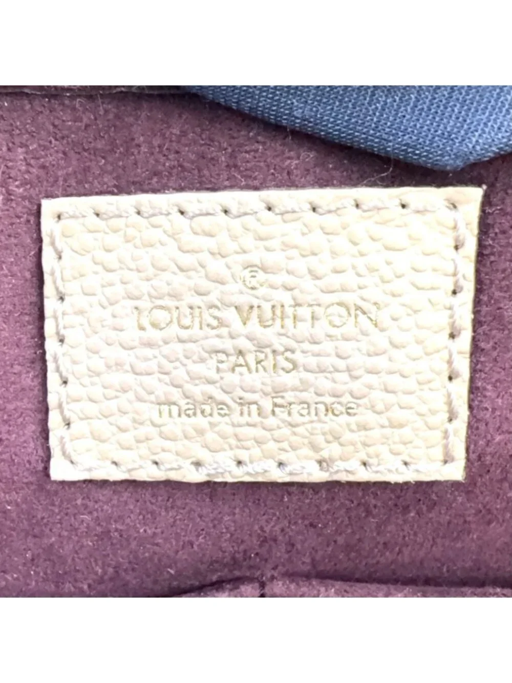 Louis Vuitton brand louis